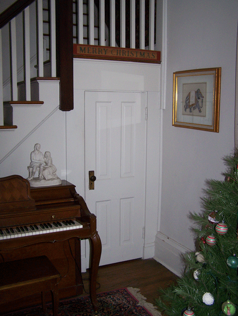 Closet Beneath Stairs