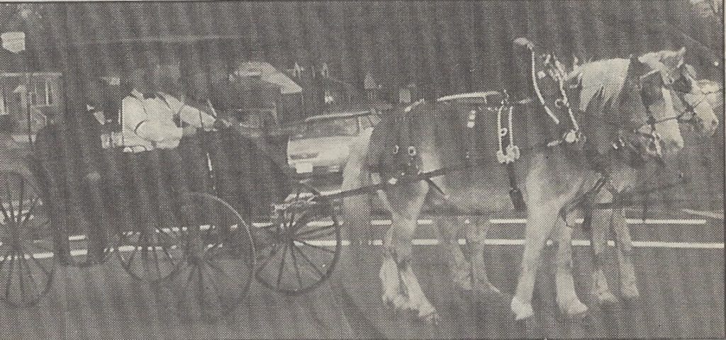 Matlock and MacKenzie pull the carriage that took President Abraham Lincoln (Stan Wernz) to Madeira High School. Terry Elliott drove the carriage; his father, Thomas "Grandpa" Elliott rode shotgun.
